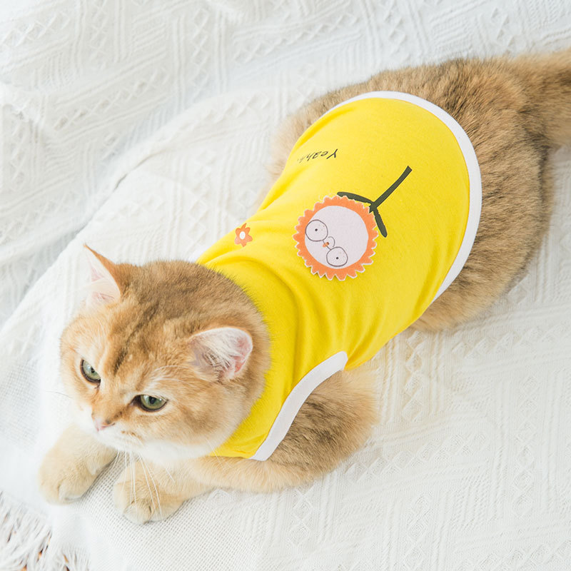 Vêtements mignons de chiot de dessin animé pour petits chiens, Costume de loisirs de printemps pour chat imprimé, vêtements pour animaux de compagnie pour teddy sport