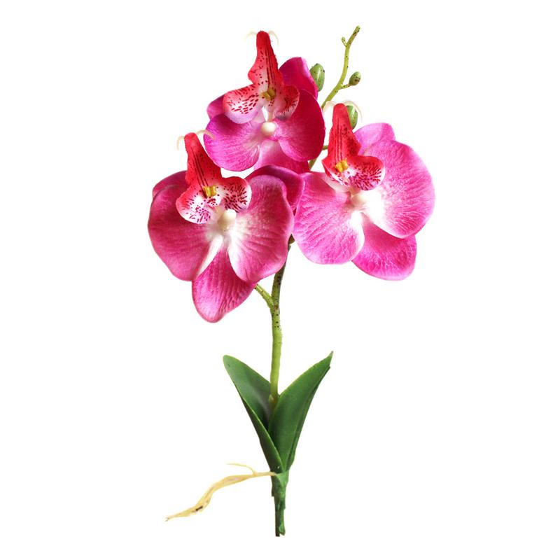 Kunstig blomst plast orkidé silke blomst hjem mini phalaenopsis simulering planter bryllupsfest dekoration blomst gren: Hot pink