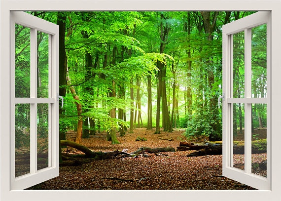 3d effect raam uitzicht muurstickers natuur bos muur vinyl sticker decor muurschildering landschap kunst huisdecoratie