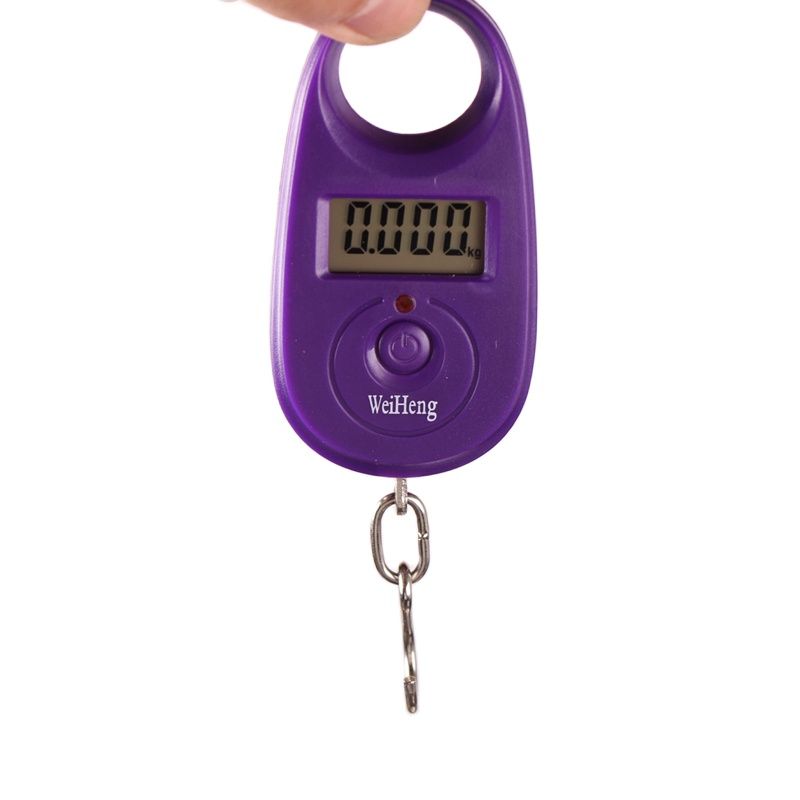 Mini Electronic Digital Scale pocket Portable LCD Weight Weighing Hand Held Balance Electronic Fish Hook Weigh Digital Scale