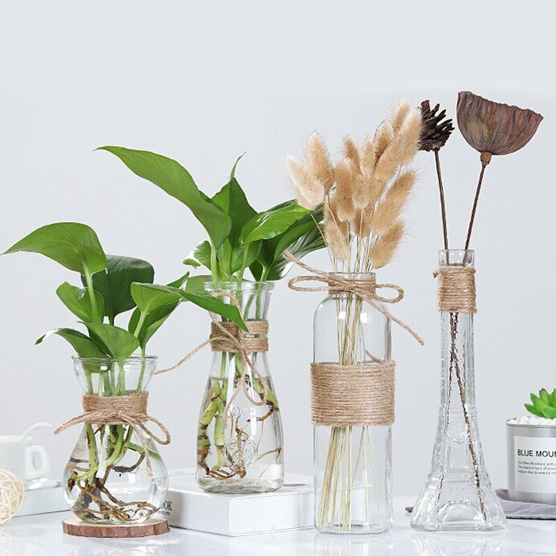 Hydrocultuur Planten Vazen Droge Bloem Vaas Accessoires Nordic Diy Valentijnsdag Bloem Touw Transparante Glazen Vazen