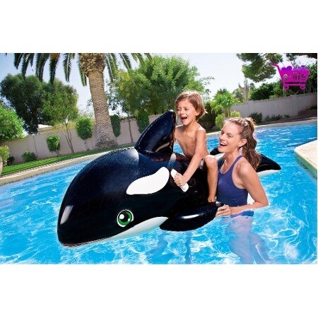 Walvisrijder 203 x 102 cm-41009