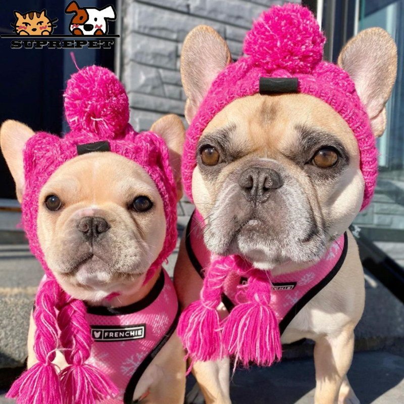 Chihuahua beanie hat online