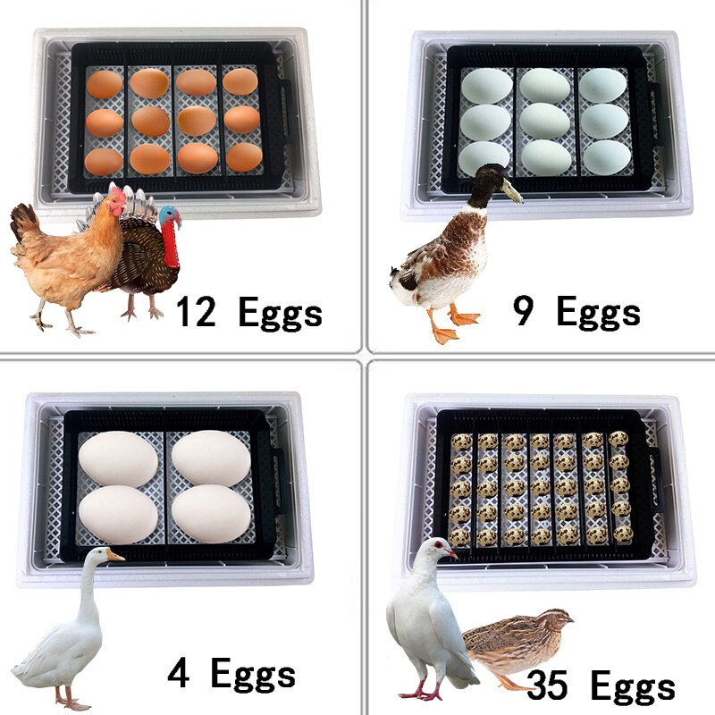 Full Automatic Incubator Brooder Farm Hatchery Machine 12 Egg Hatcher Chicken Automatic Egg Incubator Goose Bird Quail Brooder