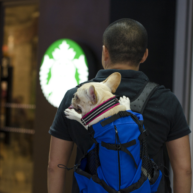 Huisdier Draagtas Hond Carrier Cat Carrier Hond Rugzak Mesh Doek Reistas Borst Pakken Ademend Hond Vervoer Rugzak Voor Dieren