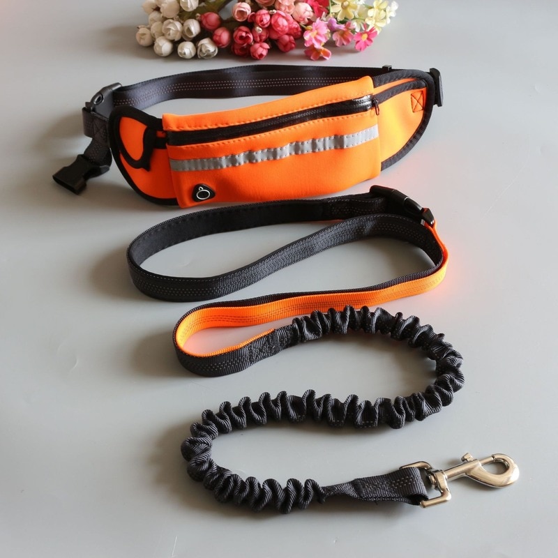 Style Pet Puppy Accessories Running Dog Leashes