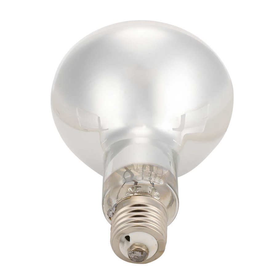 Reptielen warmtelamp reptielen warmtelamp reptielenlamp huisdieren voor schildpadden reptielen