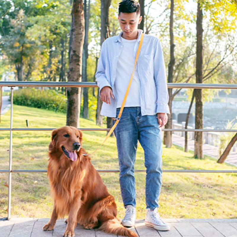 Correa reflectante ajustable para perro, correas de manos libres para caminar, a prueba de explosiones, suministros para mascotas: Yellow 2.5x200cm