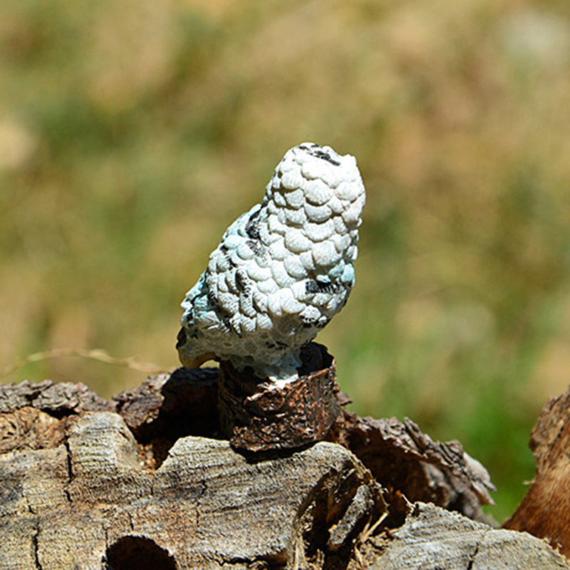 Boneco de paisagem, coruja, resina, jardim doméstico, decoração diy, micro ornamentos, decoração