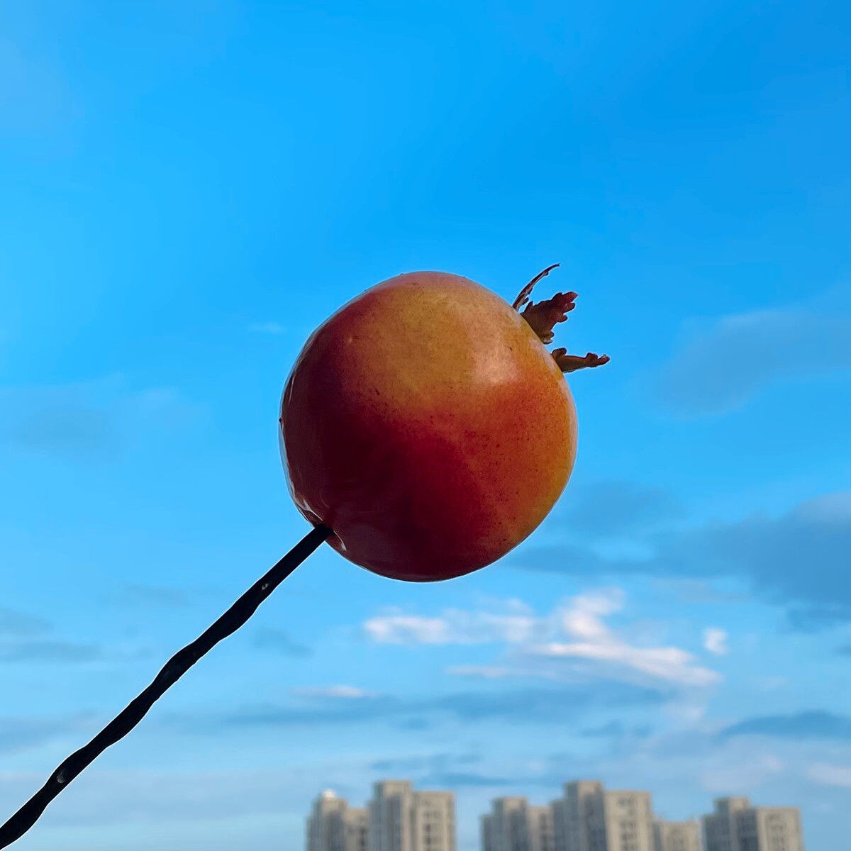 Mini Auto Antenne Decoratie Exterieur Decoratie Antenne Leuke Cartoon Voedsel Pop Cactus Dak Modificatie: NO.17