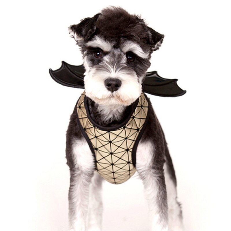 1 pièces Cosplay chiens harnais Pitbull Bulldog laisse chat de compagnie chien coffre avec aile Schnauzer chiot Chihuahua Bull Terrier fournitures pour animaux de compagnie