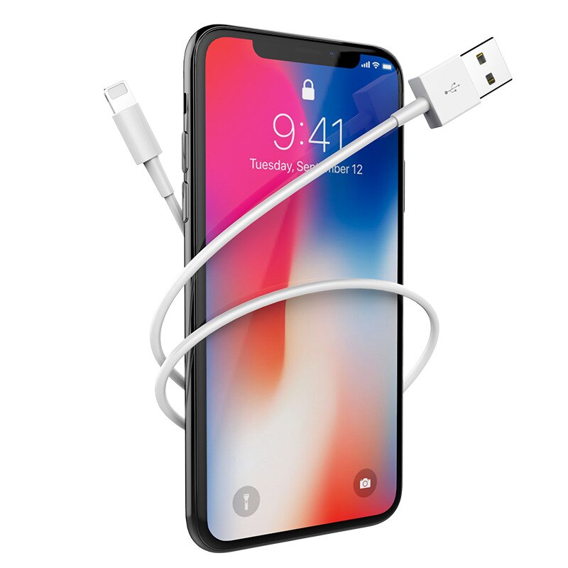 1m de Dados USB Cabo de Carregamento para o iphone 6 6S 7 8 Plus X XR XS 11 Pro Max SE 5 5S 5C iPad mini 2 3 Ar 2 Fio Cabos de Carregador Rápido