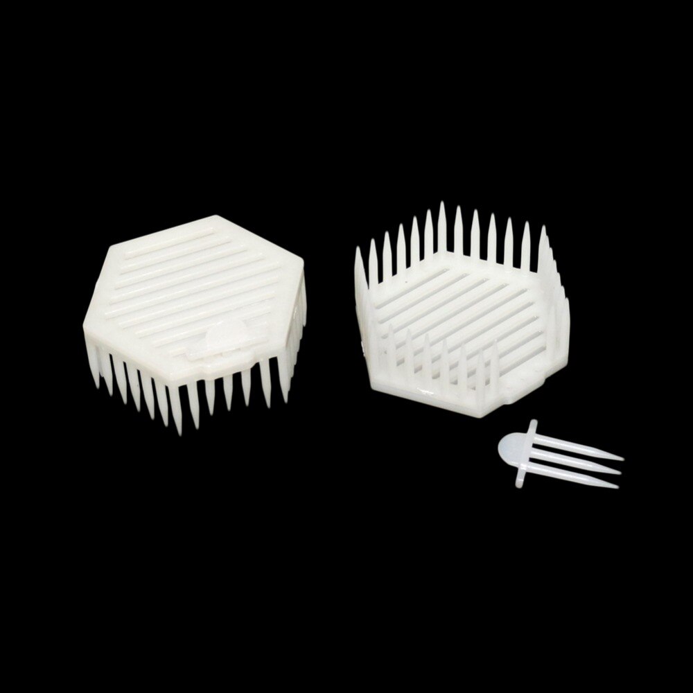 Bee Tools Hexagon Crown Of Thorns Needle Cage Plastic Queen bee Prisoner Cage Beekeeper Apiculture equipement 20 Pcs