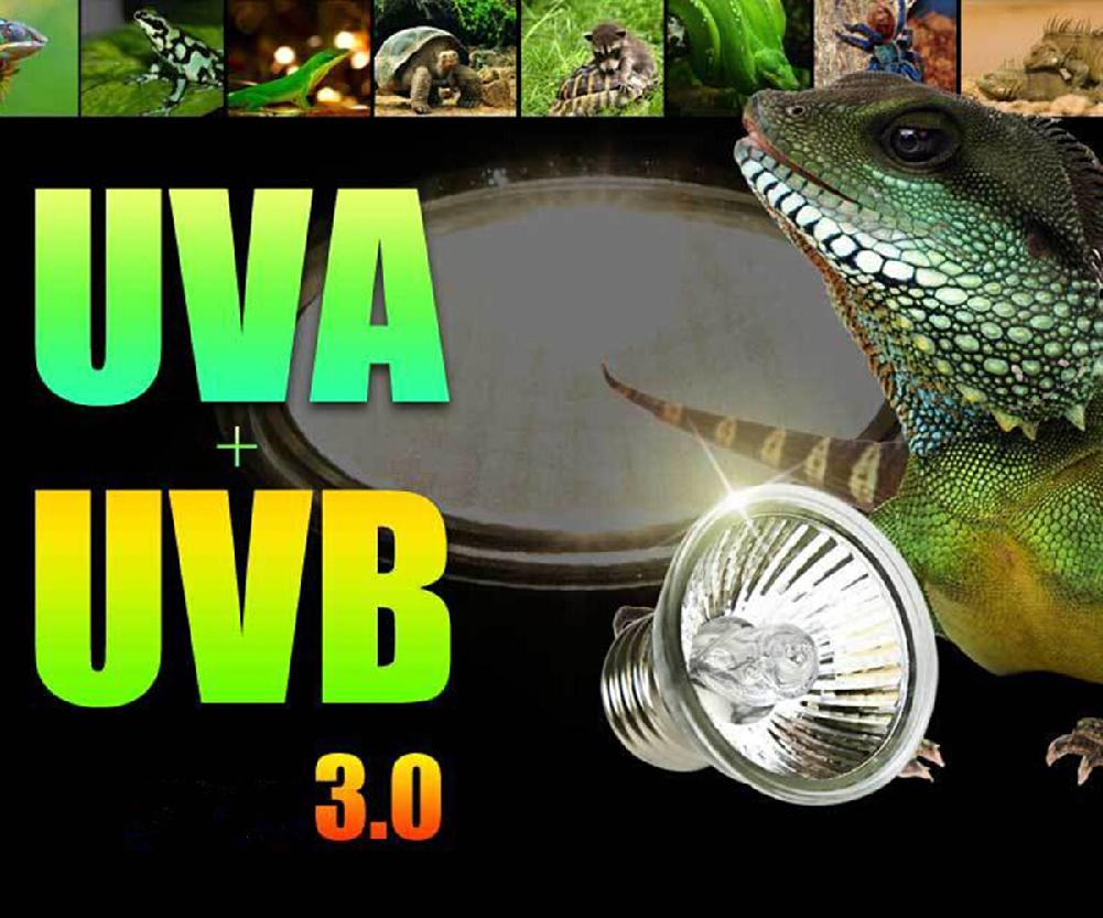 Pet Heating Lamp UVB Solar Light Crawler Ultraviolet Heating Sun Bulb Lizard Lamp 220V E27 25W/50W/75W