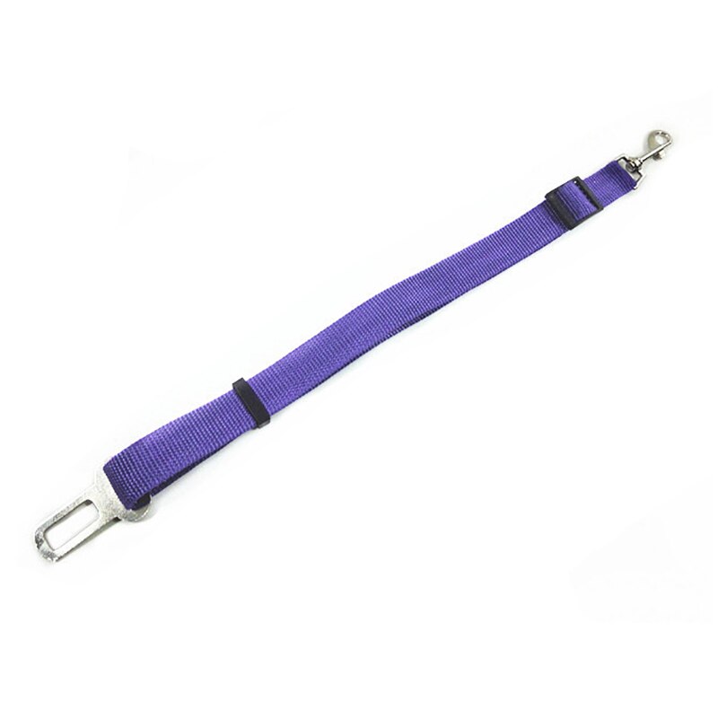 Huisdier Aangelijnd Kat Halsband Trekkabel Autogordel Intrekbare Nylon Materiaal Sterke Slijtvaste Huisdier Accessoires