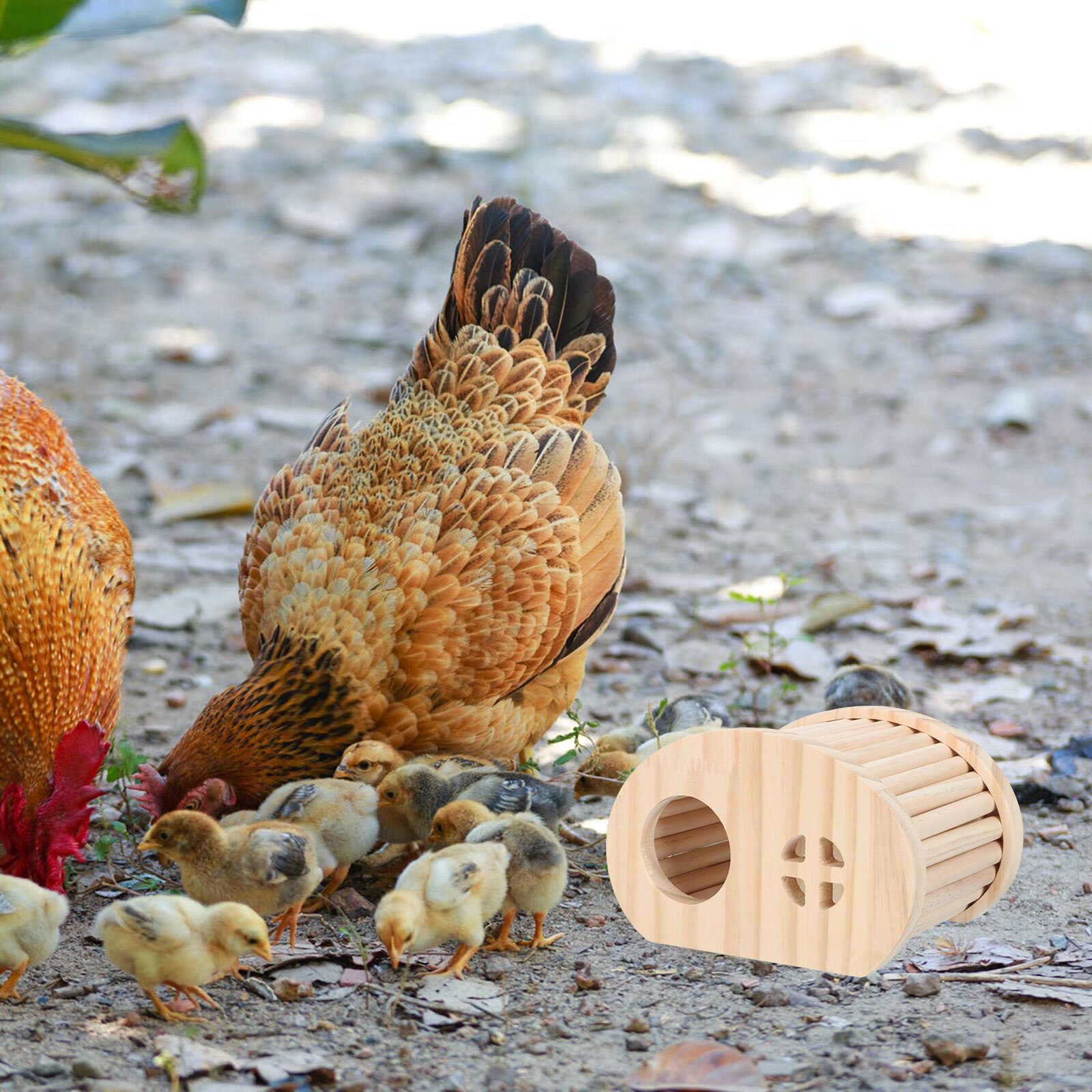 Rutine Kip Nest Houten Egel Verstopt Huis Kip Kooi Kip Fokken Doos