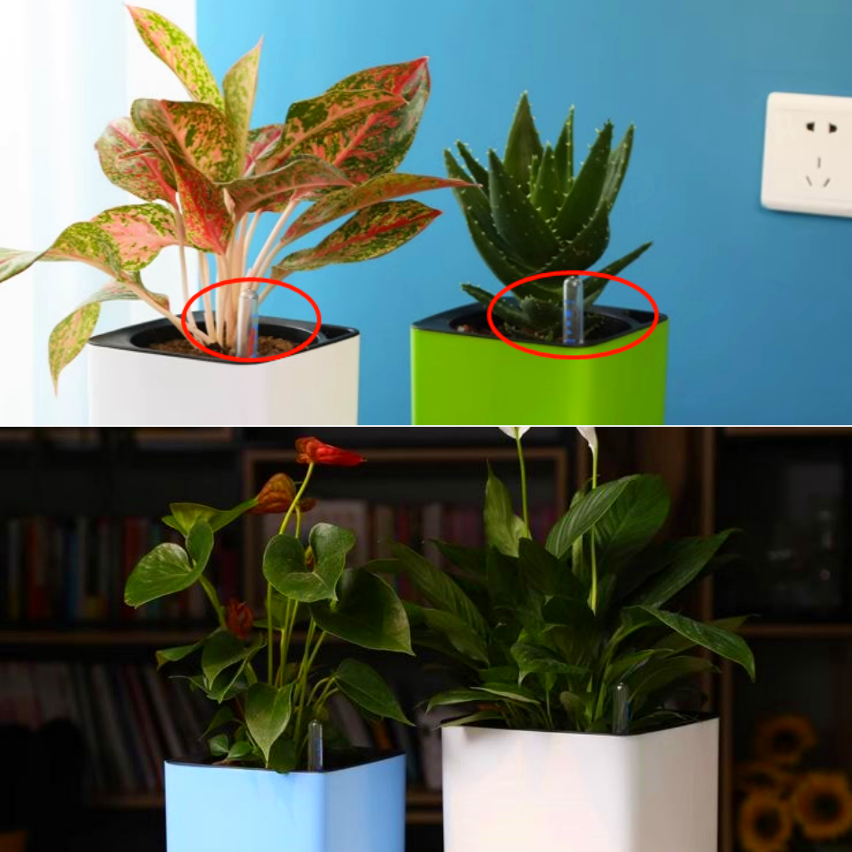 Indicateur de niveau d'eau pour plantes d'intérieur, compteur de plantes hydroponiques, bouée, rappel de pénurie d'eau, prise d'affichage, outils de jauge d'humidité en pot