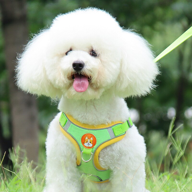 Breathable Small Dog Harness And Leash Cloth Safety Mesh Chest Strap Collar For Kitten Cat Chihuahua Pug Bulldog Cats Vest