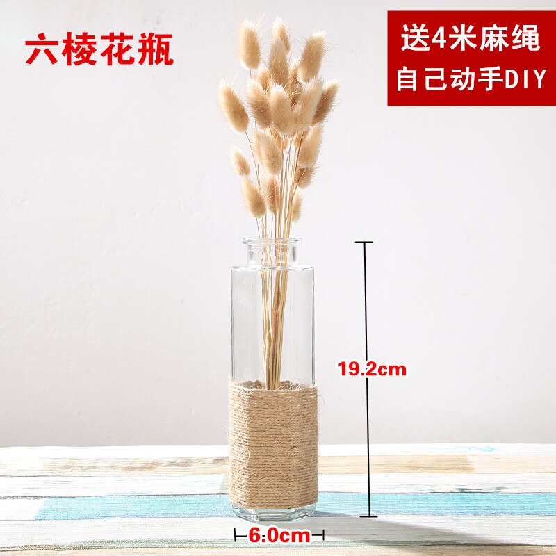 Jarrón de vidrio transparente , florero moderno minimalista hidropónico nórdico, adornos para el hogar, florero de flores secas: G-without flowers