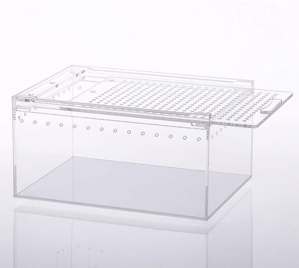 Caja de acrílico para reptiles, caja plana larga transparente para cría de reptiles, terrario, jaula para Tarantula, escorpión, Isopods