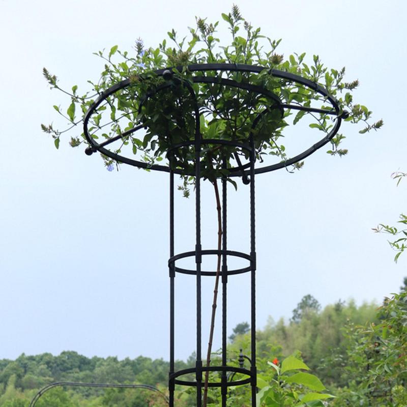 Enrejado de jardín para plantas trepadoras, marco de soporte de Metal, enrejado de soporte para plantas de vid, paraguas de jardinería, enrejado para plantas trepadoras