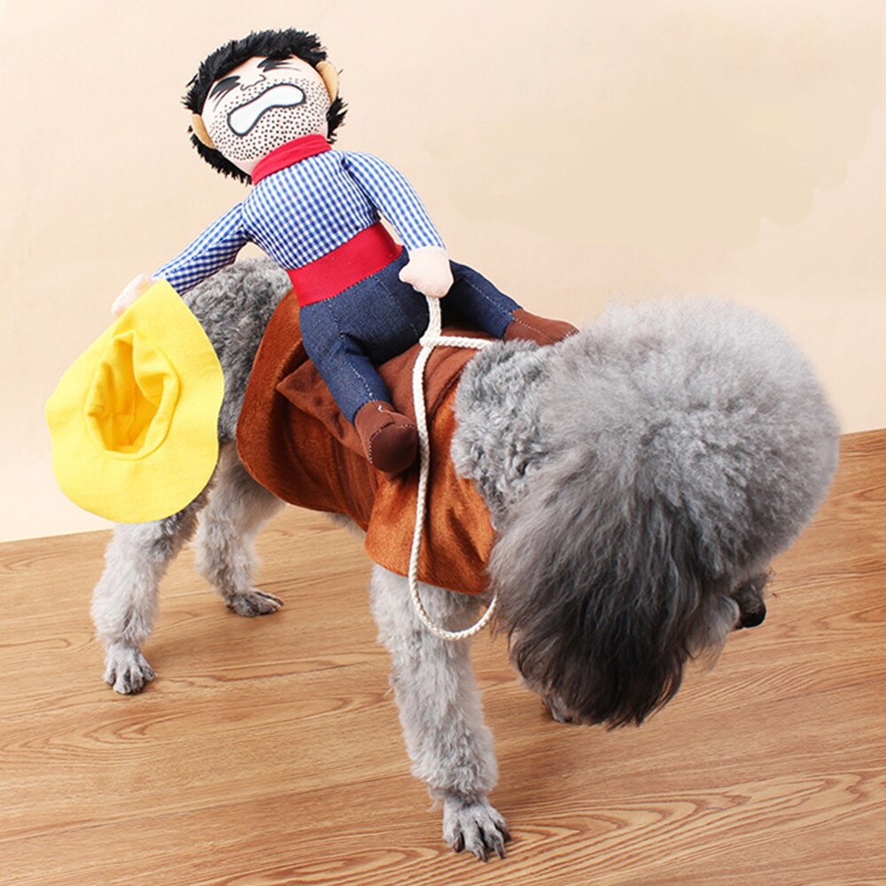 Hundkläder katt tillbehör för husdjur ridutrustning klänning halloween rolig liten medelstor hund trikå kappa kläder rollspel