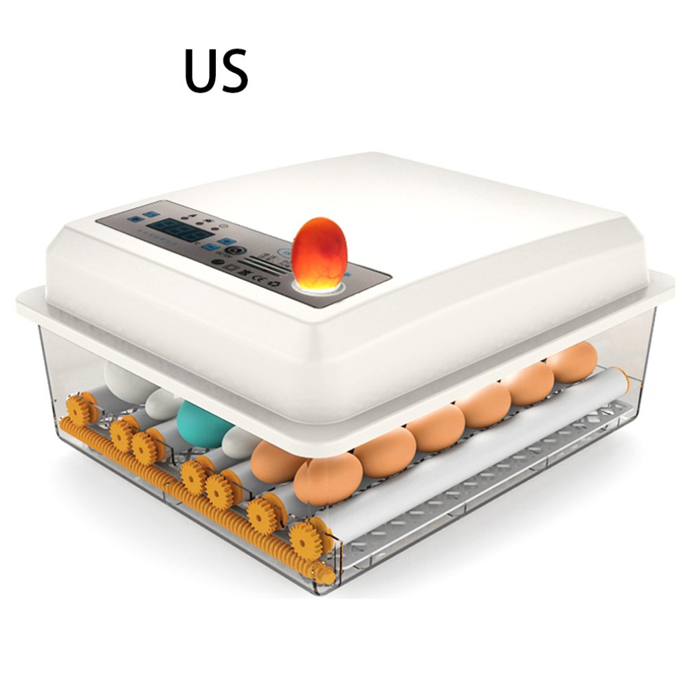 Egg Incubator Fully Automatic 16 Eggs/7eggs Digital Mini Brooder Small Chicken Bird Egg Incubator Automatic Farm Incubation Tool