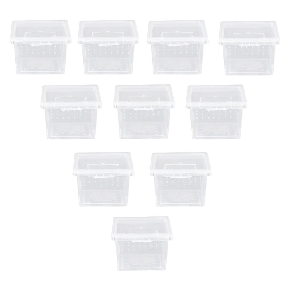 10pcs Practical Insect Feeding Box Reptile Breeding Box Convenient Creeper House