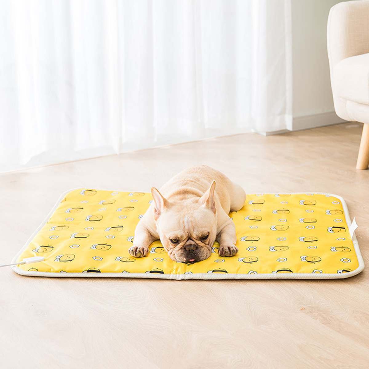 40x45/60cm Electric Heating Pad Blanket Pet Mat Bed Cat Dog Winter Warmer Pad Home Office Chair Heated Mat 220V Random Patterns