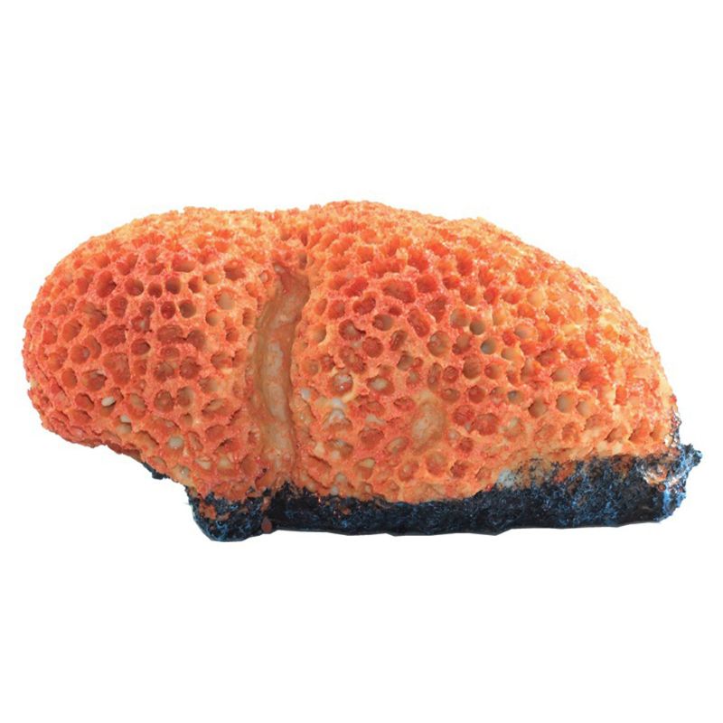 Aquarium kunstmatige koraalrif decoratie landschapsarchitectuur onderwaterlandschap aquarium ornament