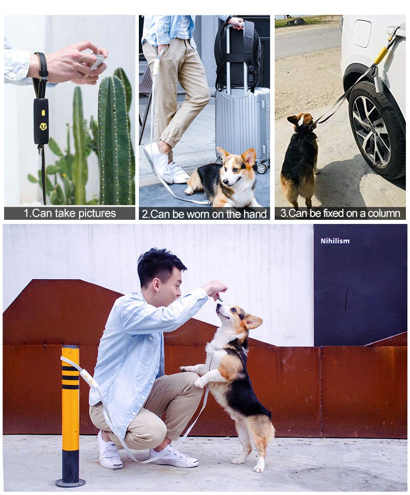 MEOWS Retractable Elastic Dog Leash Anti-Explosion Reflective Stripe Metal Clasp Comfortable Handle Easy Grip&amp;Lock Hands Free