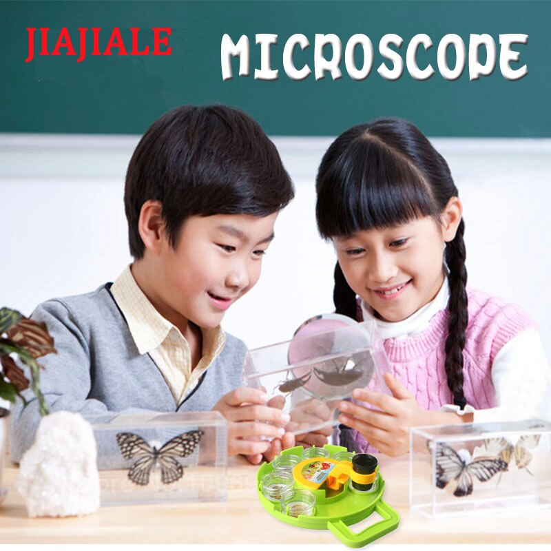 Insect observation science microscopy experimental tools ornamental rocks flowers leaves insects shells crystals minerals