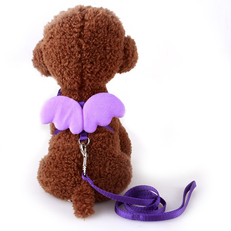 Laisse pour animaux de compagnie, petit ange, sangle de poitrine, ailes, ensemble de harnais pour chien, chat, lait, petit chien, corde pour Mini chien, chiot, fournitures: Purple / XS