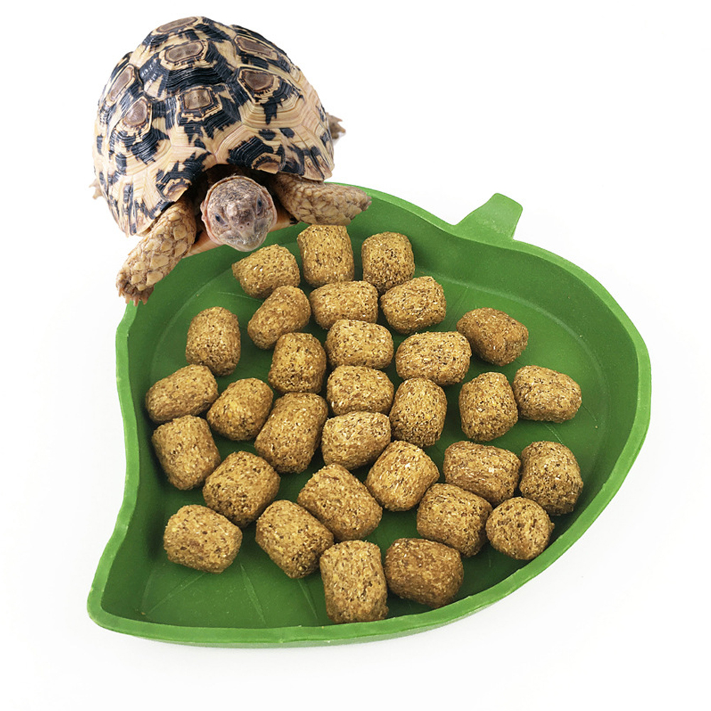 Bassin d'alimentation en plastique serpent | Fontaine à bord de courbe, fournitures pour animaux de compagnie, tortue en plastique Lizard bassin d'alimentation, bol de nourriture facile à nettoyer, mangeoire Reptiles Gecko