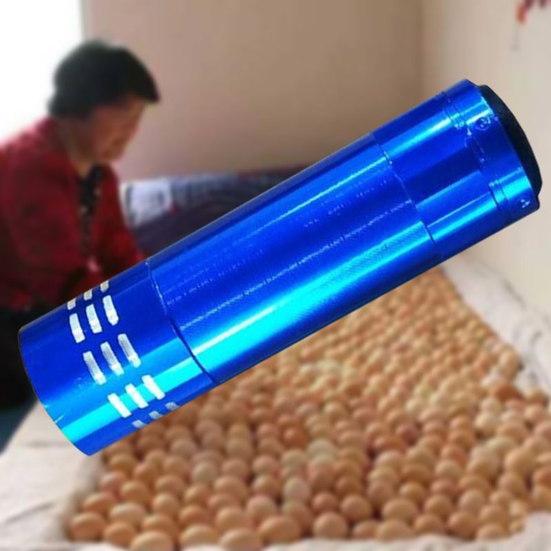 Mini Cold Light Egg Incubator Intelligent Precise Temperature Control Automatic Hatcher Long Standby Safe Portable Tools