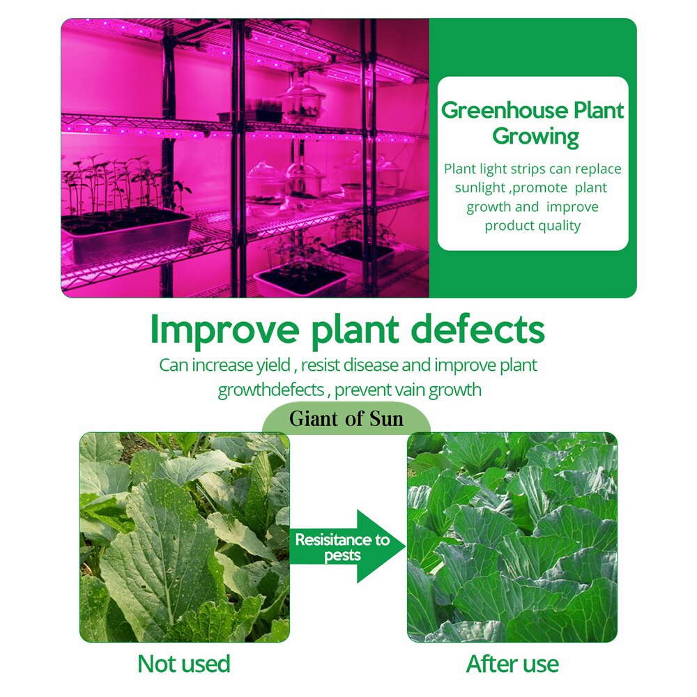 Solar Panel Light Farmhouse Grow Light 5W Solar Panel Flexible Waterproof 0.5/1/2/3/5M Solar Power Lamp Beads Light Spectrum