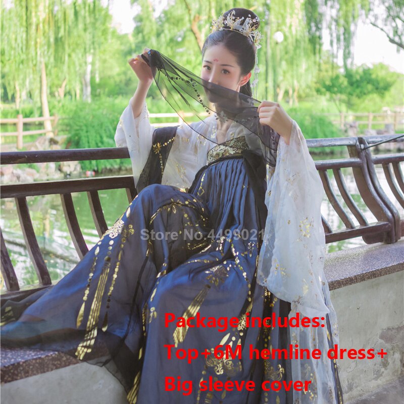 Women Chinese Style Traditional Folk Dance Costume Oriental Han Dynasty Fairy Performance Hanfu Crane Singer Printed Skirt Set: Color5 / S