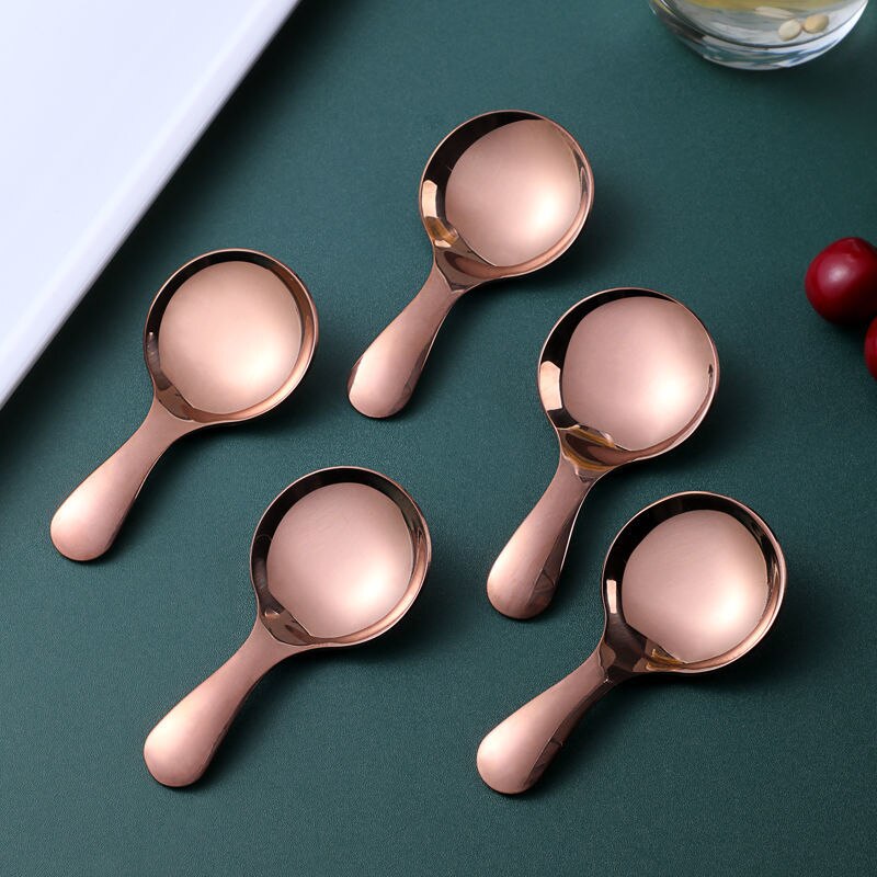 Mini Spoon Short Handle Seasoning Spoon Tea Dessert Small Spoon Stainless Steel Spoon