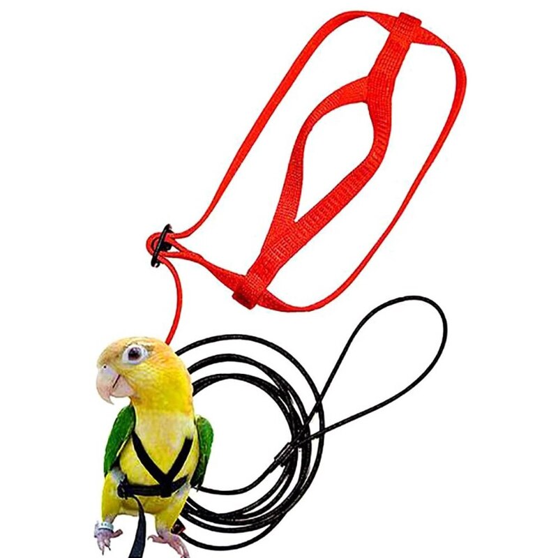 Correa de arnés para pájaros y loros, correas de tracción voladoras para exteriores, banda ajustable antimordedura, cuerda de entrenamiento