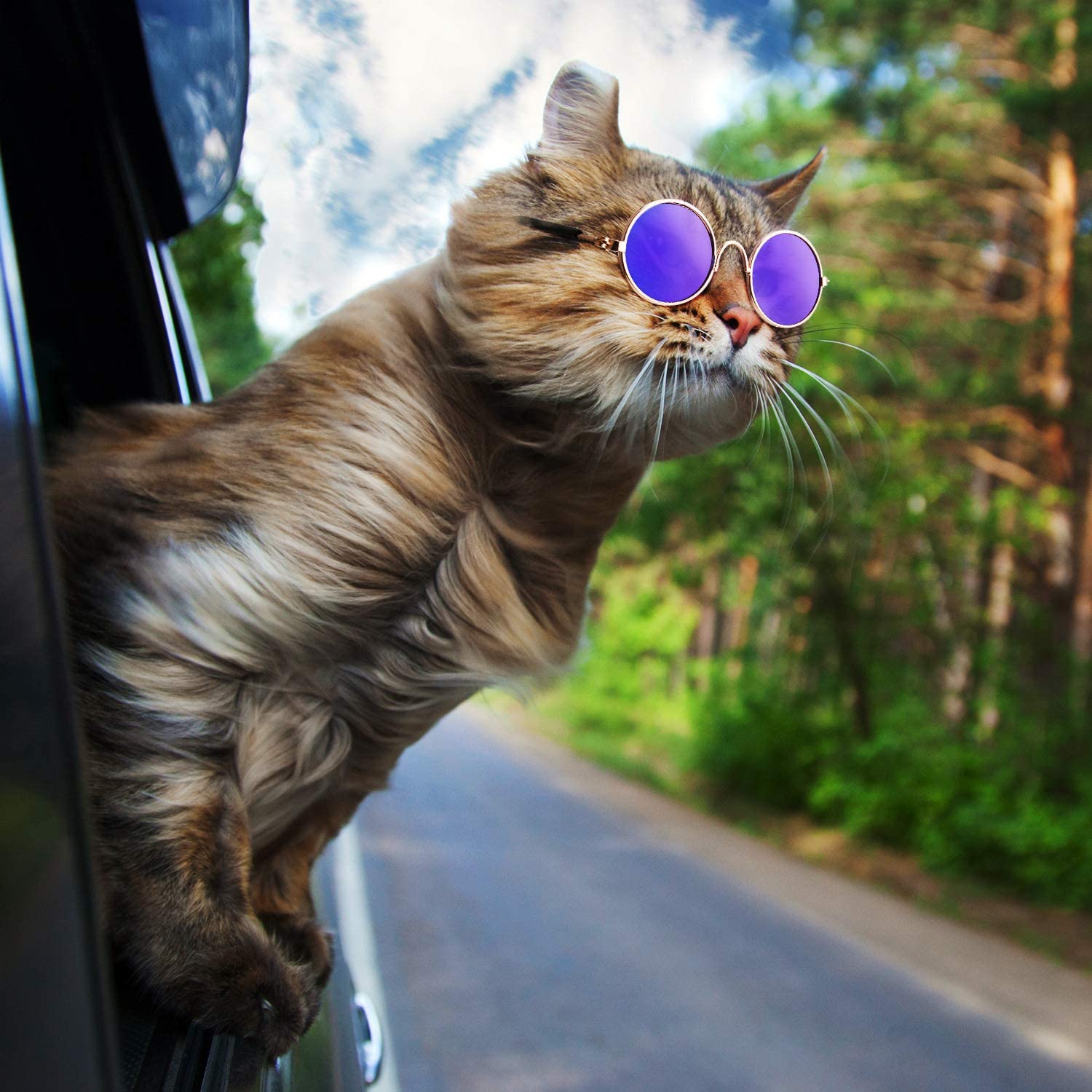 Productos para mascotas encantador redondo Vintage gato gafas de sol reflejo ojo gafas para perro pequeño gato accesorios fotos de mascotas accesorios