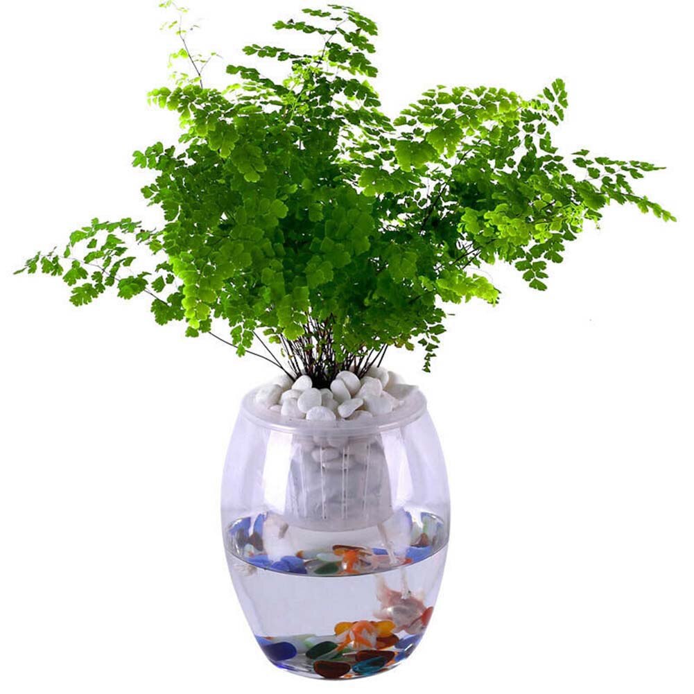 Cuerda de irrigación automática, 50cm, para Bonsai, hidropónico