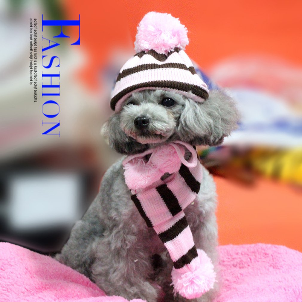 Pet Kleding In De Winter Om Warm Driedelige Hoed Elleboog Sjaals Teddybeer Herfst Winter Warm Te Houden