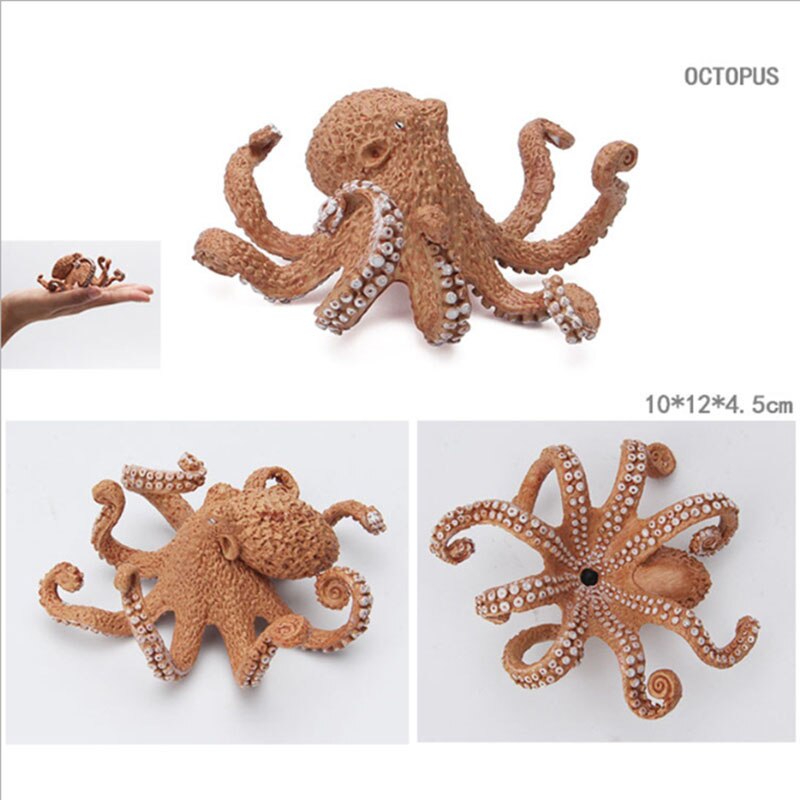 Educational toys for children simulated animal ocean great white shark seabed creatures girls toys for kids school learning: Octopus