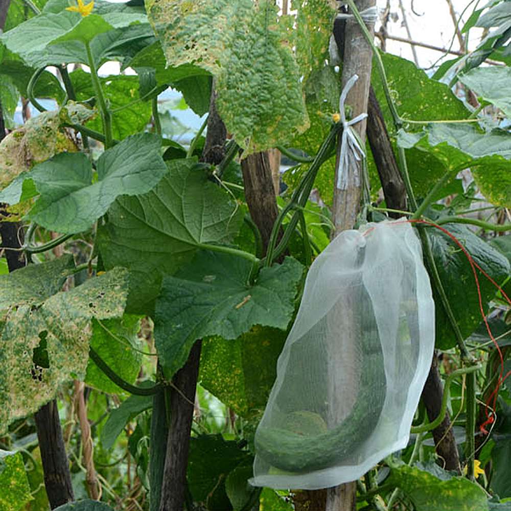 100 st trädgårdsnätpåsar fruktbarriärskyddspåsar för druva fikonblomma frögrönsaksskydd mot insektsmugg