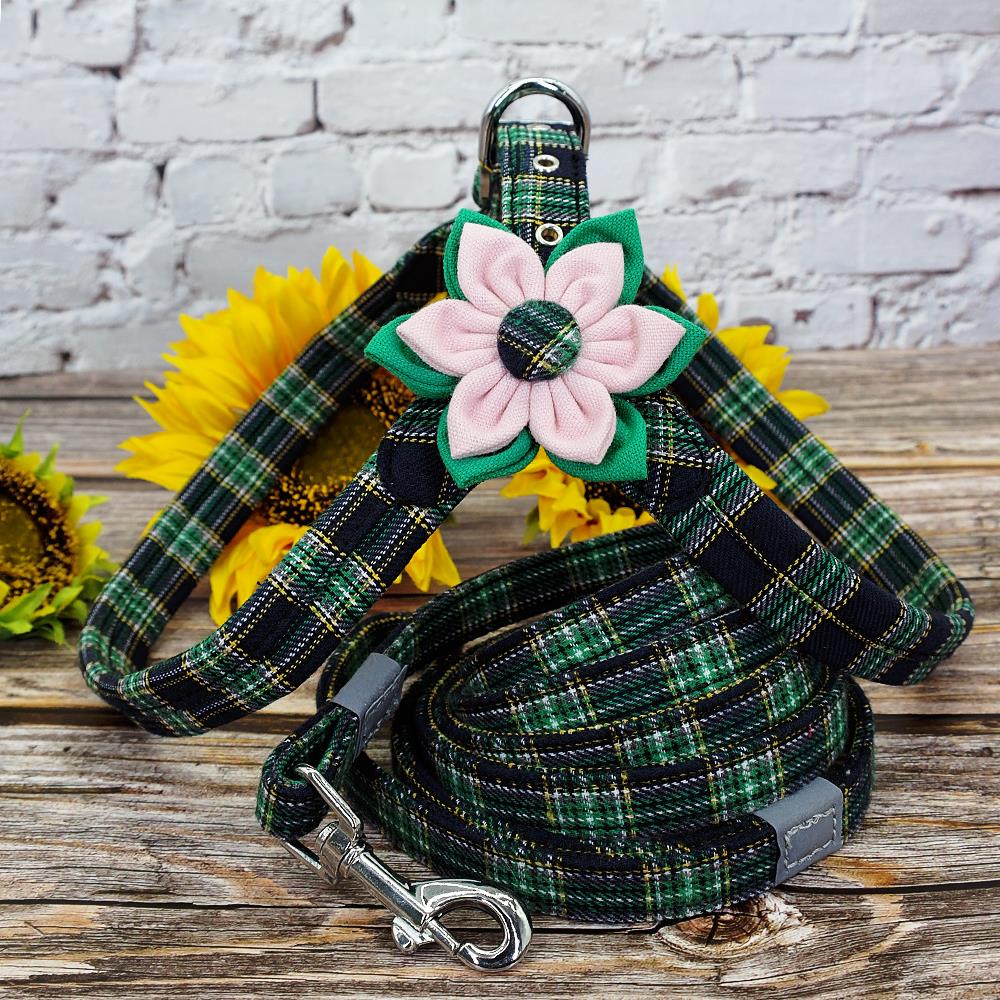Harnais pour chiot, ensemble d'accessoires pour chiens, pour Chihuahua, pour animaux de compagnie, pour Chihuahua, gilet de marche, laisse, pour petits et moyens chiots, Pitbull: green / S
