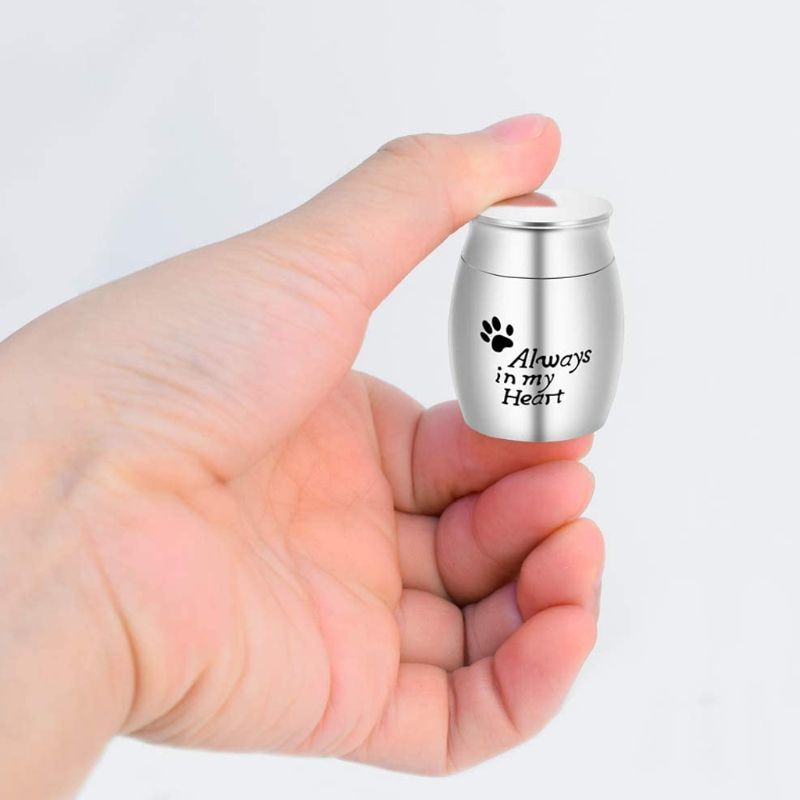 Pet Cremation Urns Stainless Steel Ash Memorial Container Dog Cat Perfect Restin