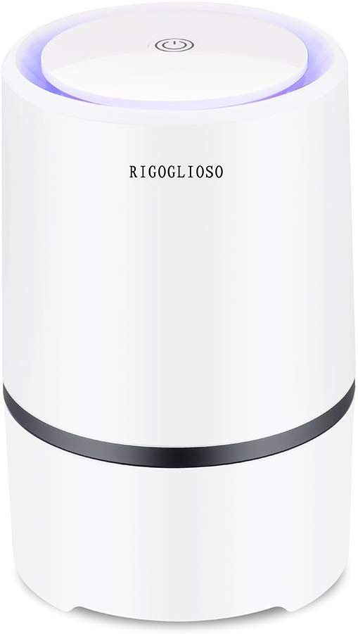 RIGOGLIOSO Air Purifier Air Cleaner for Home HEPA Filters 5V USB Cable Low Noise Air Purifier with Night Light Desktop GL2103: Default Title