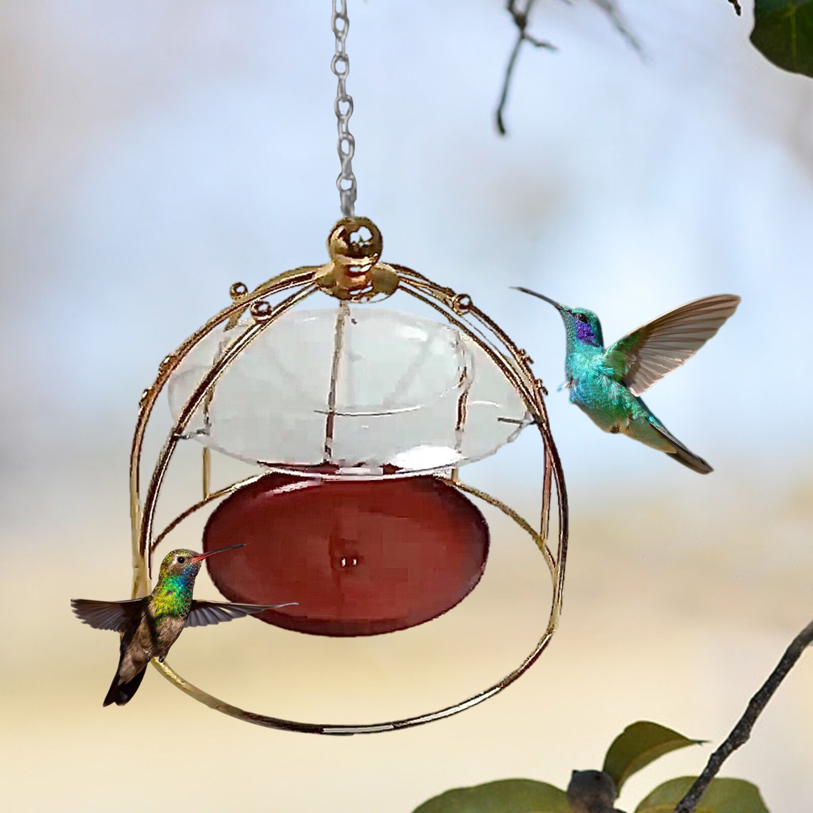 Mangeoire suspendue pour oiseaux sauvages, avec crochet, dôme, pour colibris, insectes, miel, cour extérieure
