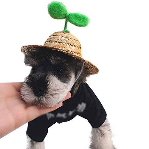 LVTUBANLV Adjustable Cute Mini Pet Sombrero Dog Straw Hat Cat Woven Hat Puppy Sun Bucket Cap for Small Dogs Puppy Cats Supplies: Sprouts / 16CM