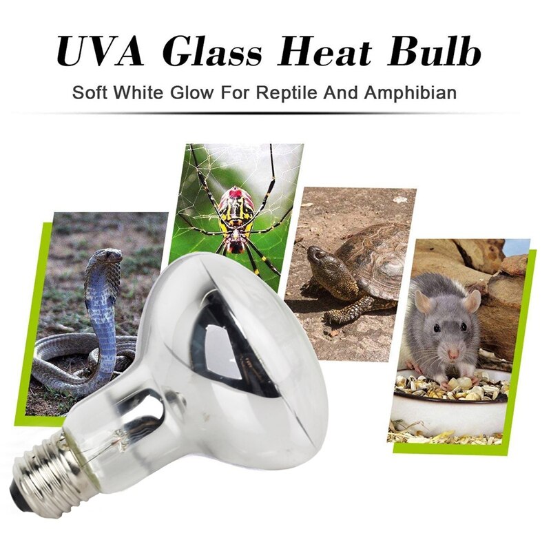 75W 2-Pack Basking Spot Heat Lamp Bulb 110V Soft Glow UVA Glass Cover Heat Lamp Bulb Light for Lizard Bearded Dragon Chameleon S